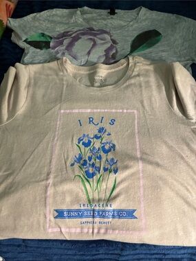 J. Crew Cream Tee with Blue Iris Graphic 2 shirts. Great deal